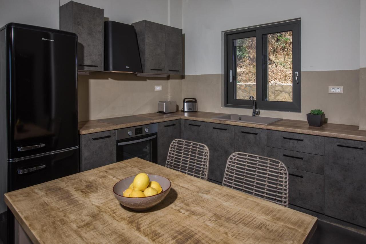 Brand New Villa Lefka With Private Pool At Platies Platíesz Kültér fotó